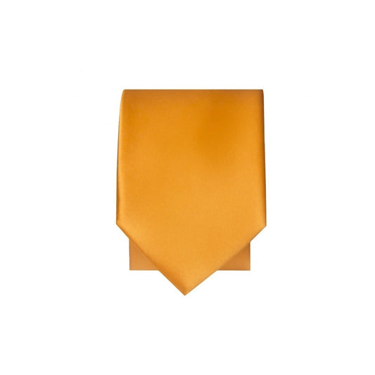 Plain Rust Satin Skinny Boys Tie 2