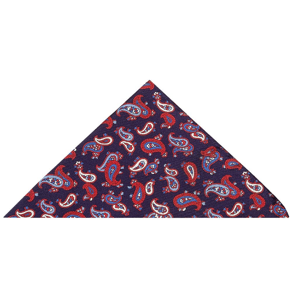 Navy with Red Mini Paisley Skinny Mens Tie and Pocket Square Set